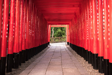 【愛知県犬山市】三光稲荷神社の千本鳥居