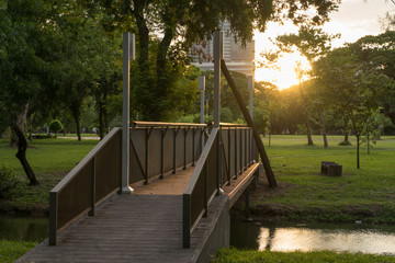 wood bridge in the park with sunlight