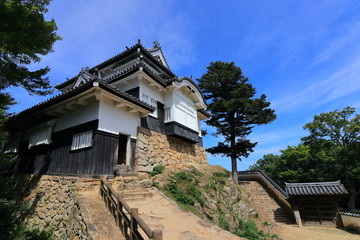 Bitchu matuyama castle in Takahasi city in Japan