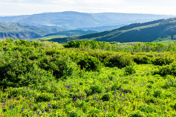 Meadow and high angle view on Thomas Lakes Hike trail in Mt Sopris, Carbondale, Colorado with view...