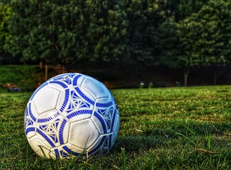 soccer ball on green grass