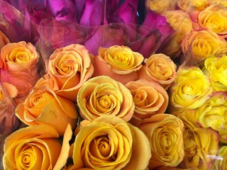 bouquet of yellow roses