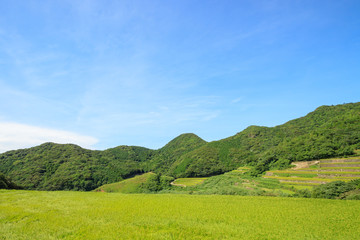 Fototapeta na wymiar 春日の棚田　長崎県平戸市　Nagasakiken Kasuga Rice terraces