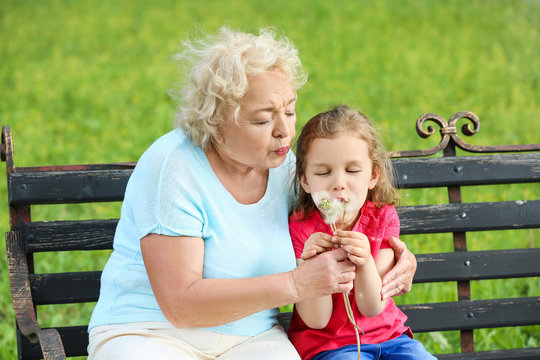 Cute little girl with grandmother blowing dandelions in park