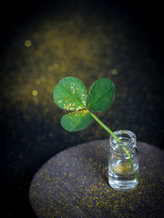Clover leaf in gold glitter sparckles