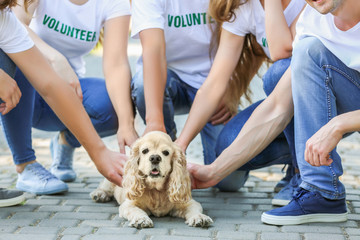 Volunteers with cute dog outdoors