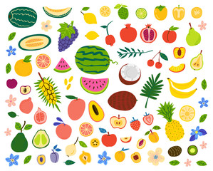 Fruits and berries hand drawn illustrations set