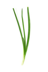 Fresh green onion on white background