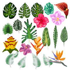 Tropical collection with exotic flowers and leaves. design isolated elements on the white background.