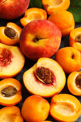Apricots and peaches