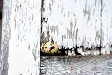 Small Quail Eggs On Old Wooden.