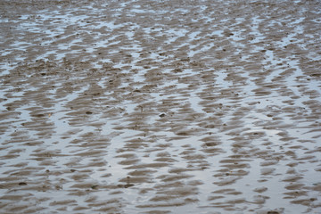 Background pattern of sand on the beach