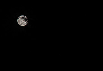 Full moon in the dark of night. The shadow of a pine tree branch creates a shadow on the moon.