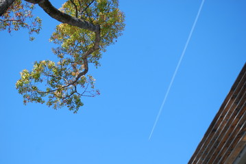 飛行機雲