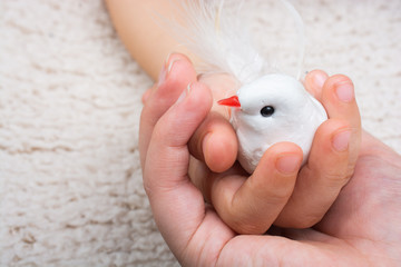 Two hands holding a fake  bird on white  background