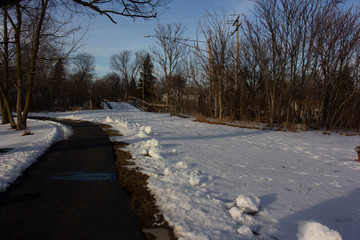 Country road, borered with white snow. Dormant leafless trees, with blue skies.