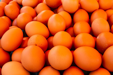 Large amount of redneck eggs.