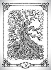 Symbol of four calendar year seasons and old tree. Vector line art mystic illustration. Engraved drawing in gothic style. Occult, esoteric and fantasy concept. © samiramay