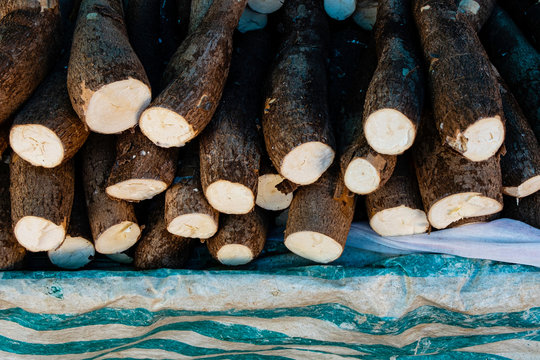Cassava in shell being sold at street fair.