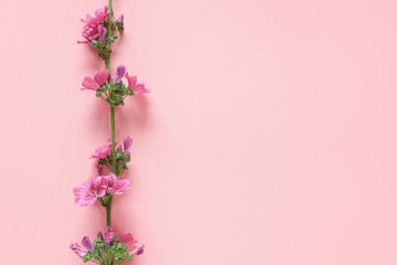 Border of branch with purple flowers on pink background with copy space for text. Top view Flat lay Template for your design, invitation, postcard