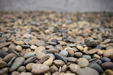 abstract background - color dry round reeble stones in selective focus