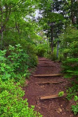Views around Mount Fuji Japan, including Kawaguchiko Tenjozan Park hiking trail from the gondola observation down to the lake side. Asia.