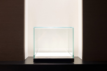 Empty glass showcase display - Powered by Adobe