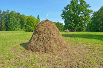 A stack of dry hay in the field.