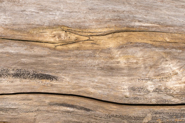 Background image. Natural wooden board texture photo