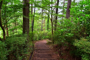 Obraz premium Views around Mount Fuji Japan, including Kawaguchiko Tenjozan Park hiking trail from the gondola observation down to the lake side. Asia.