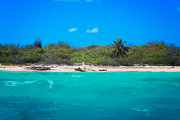 Karibik Palmen Strand