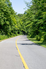 A rural road is surrounded by forest.