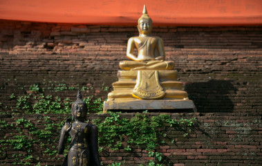 Black buddha and gold buddha