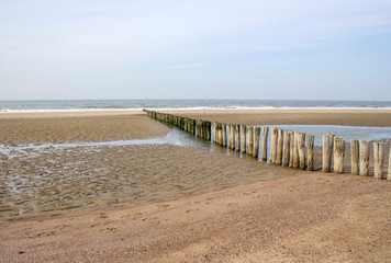 Wave breaker made of wooden stakes on the beach, Renesse, Netherlands