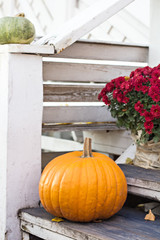Autumn still life. Pumpkin and autumn flowers on the porch.