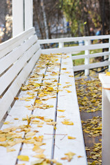 bench with autumn leaves