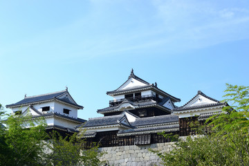Fototapeta premium Japanese Castle