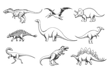 Dinoussaur predators set © vectortatu