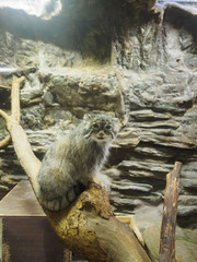 動物園