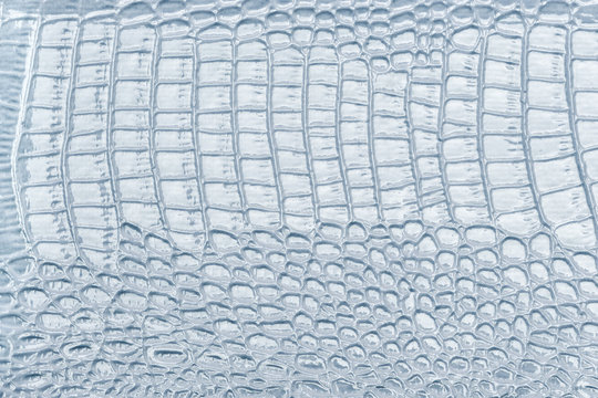 Light blue leather texture background, closeup. Reptile skin, macro.