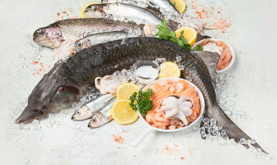 Fresh fish and seafood