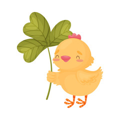 Cartoon chicken with clover. Vector illustration on white background.