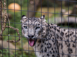 動物園