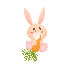 Cartoon hare eat carrots. Vector illustration on white background.