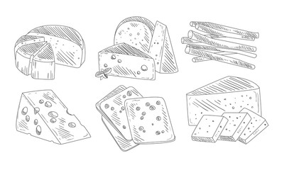 Hand Drawn Different Type of Cheese Set, Organic Dairy Product, Cheese Assortment Vector Illustration