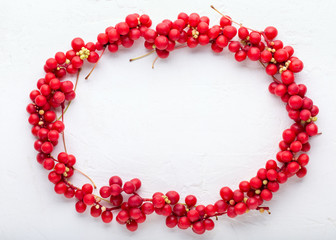 Schisandra chinensis or five-flavor berry. Fresh red ripe berries on white background. Top view. Copy space. Food background.