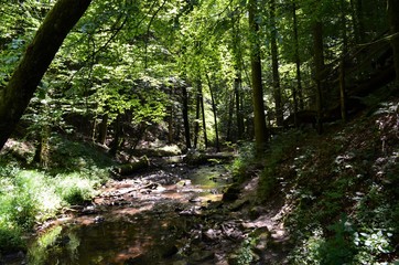 Steinbachtal bei Rudersberg