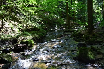Steinbachtal bei Rudersberg