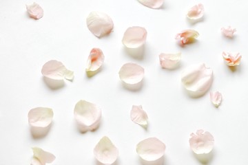In selective focus an orange rose corolla on white fabric background with softly style 