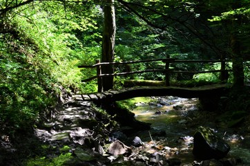 Holzbrücke Steinbachtal